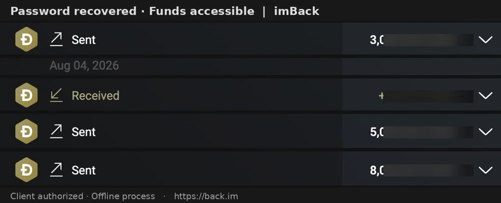 Doge wallet recovery case - transaction history after the password was recovered