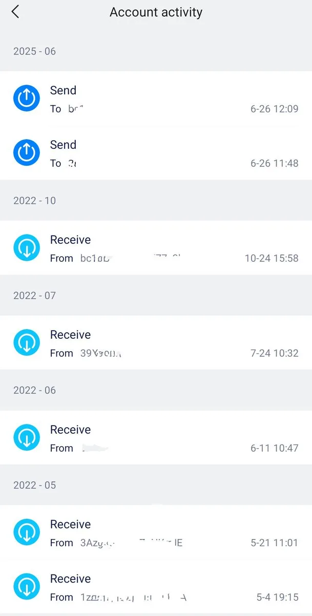 TestFlight ウォレットのアカウント履歴